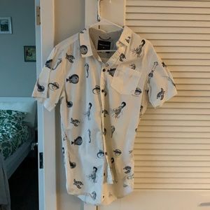 modern amusement sea creatures